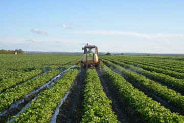 Fototapeta premium Tractor in a field