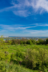 Fototapeta na wymiar Cityscape of Kiev, Ukraine. Green trees, landscape
