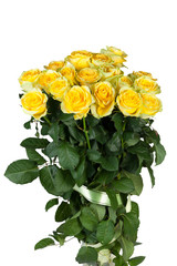 Group of fresh yellow roses