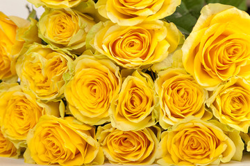 Group of fresh yellow roses