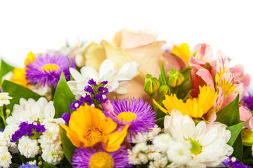 spring flowers background on white background