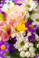 spring flowers background on white background