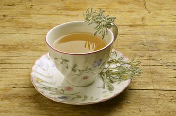 Thymus serpyllum Sand-Thymian Тимьян ползучий Timo selvatico