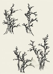 Traditional Chinese Painting