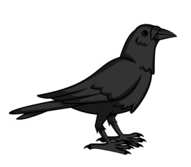 crow