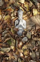 Dried leaf on the floor with thai style statue
