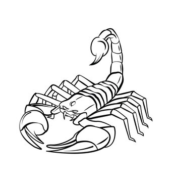 Scorpion Warrior vector illustration
