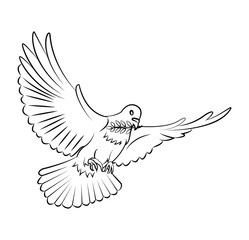 Dove Peace