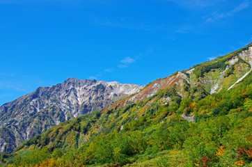 Obraz premium 秋の栂池自然園