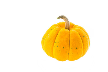 Pumpkin isolated on white