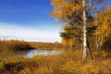 Fototapeta premium Autumn landscape