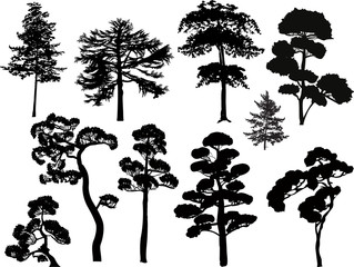 Fototapeta premium ten black trees set isolated on white