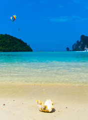 Obraz premium Tropical Symbol Holiday Detail