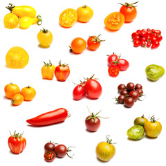 Collection of tomatoes on a white background