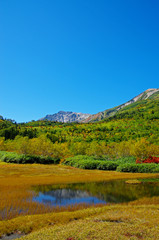 Obraz premium 秋の栂池自然園 浮島湿原