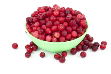 cranberry