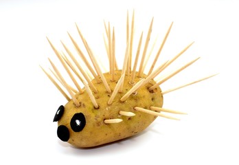 hedgehog with potato © robert6666