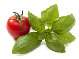 basilic et tomate cerise