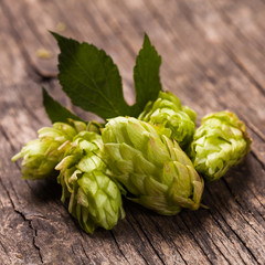Fototapeta premium Hops heap