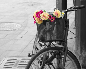 Fototapeta na wymiar selective desaturation of an old bicycle with flowers in the bas
