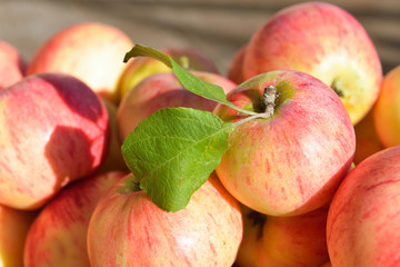 Red apples