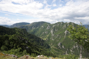 Naklejka premium Haute vallée de l'Aude,Pyrénées