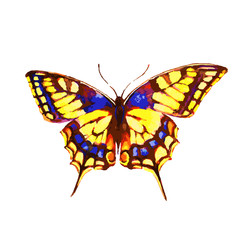 butterflies design
