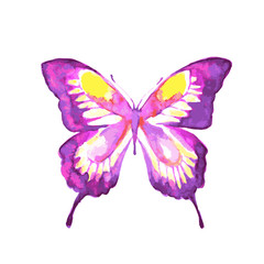 butterflies design