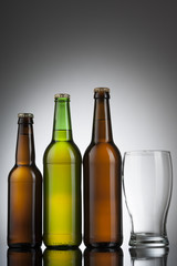 Beer bottles ready for branding