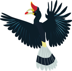Rhinoceros hornbill vector © lihaibo