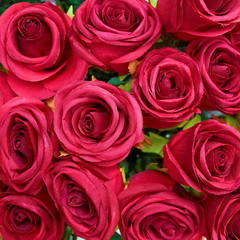 fake roses, floral background