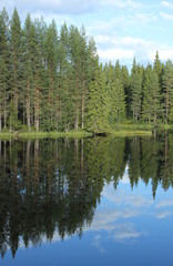 Reflections of the forest on a Swedish lake in Varmland