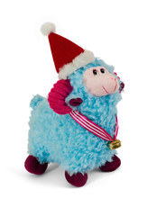 Blue sheep
