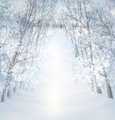 Vector winter snow landscape.