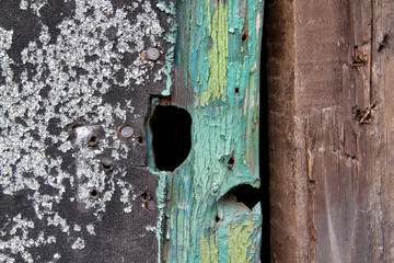 Holz mit Dachpappe