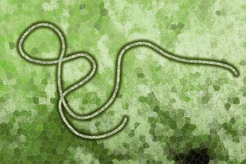 Graphic representation of the Ebola virus on green background