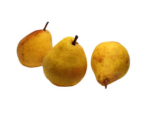 three wonderful ripe pears on white background