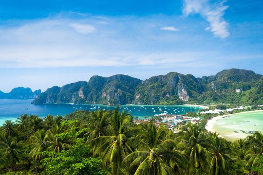 Palm Island Exotic Backdrop