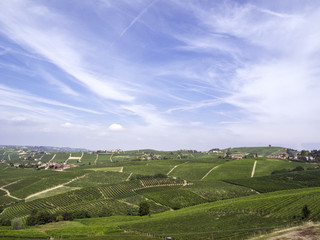 Monferrato vineyards hills. Color image