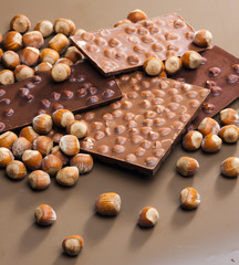 chocolate bars with hazelnuts