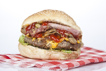 Gourmet burger with cheese