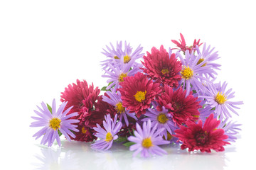 bouquet of lilac chrysanthemums