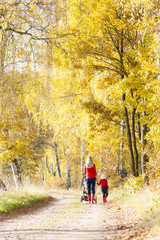 Obraz premium mother and her daughter with a pram on walk in autumnal alley