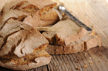 Bread