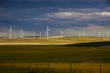 wind farm