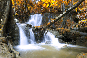 Deep forest waterfall