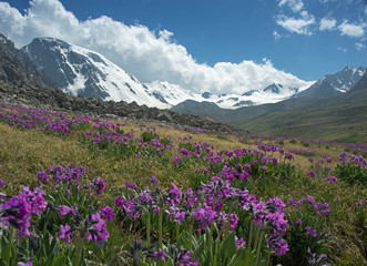 Tien Shan - general view