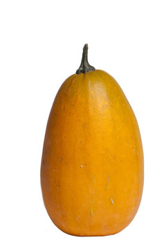 Pompoen