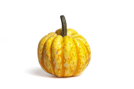 Kleine pompoen