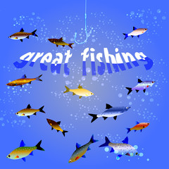 Great fishing